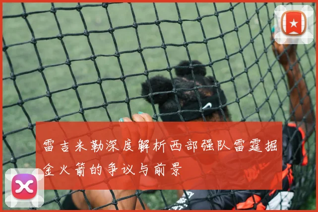 雷吉米勒深度解析西部强队雷霆掘金火箭的争议与前景
