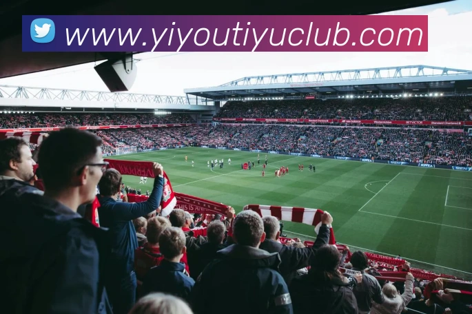 App Interface Preview