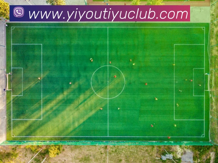 易游体育APP 封面图